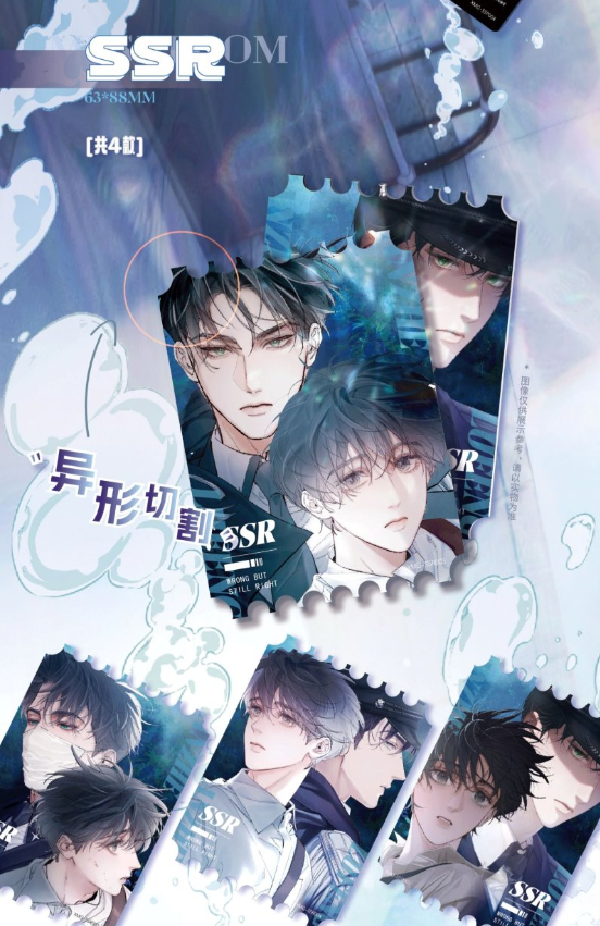 Little Mushroom - Blindbox Karten/Magnet